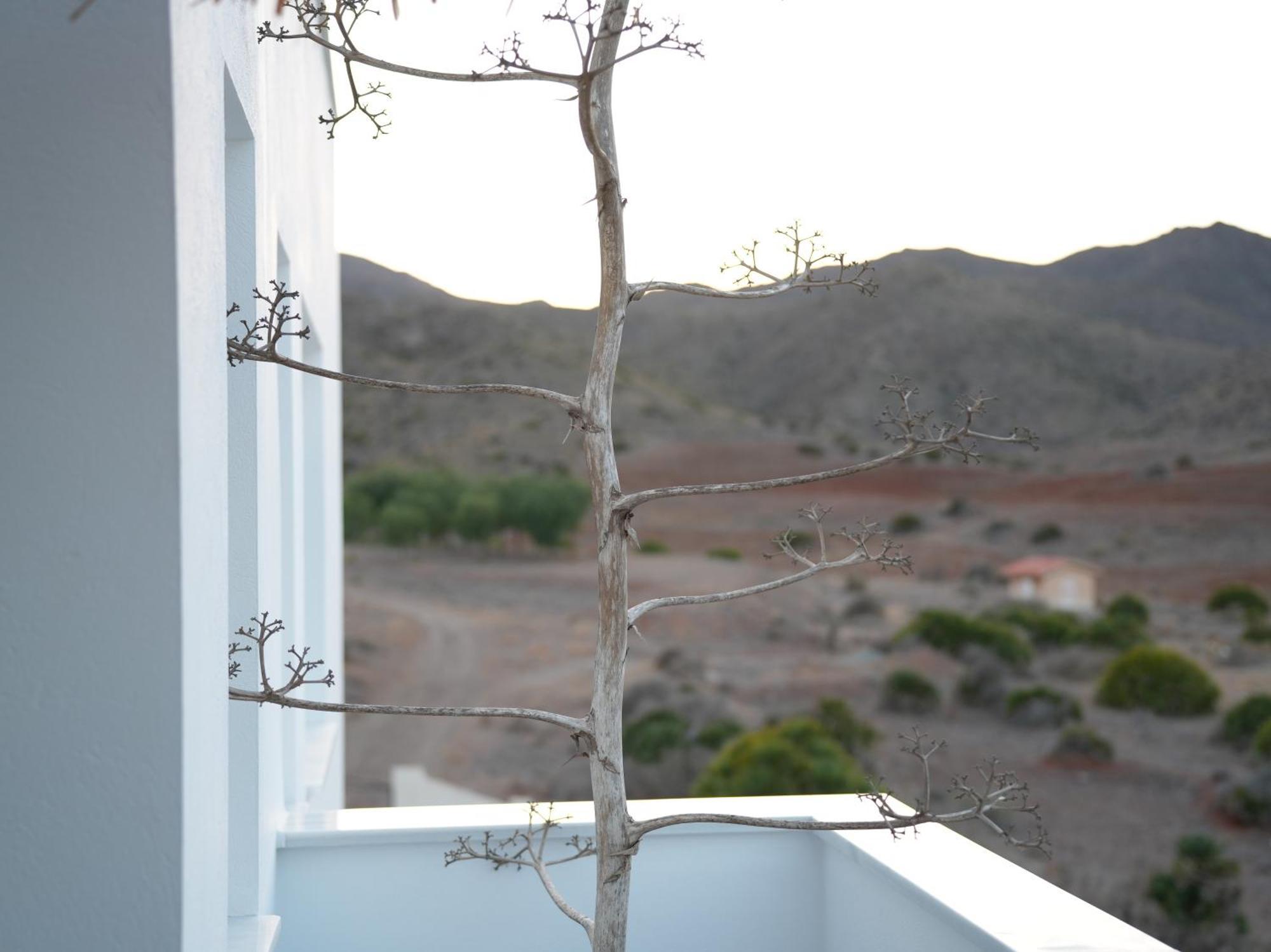 Senses Villa Сан Хосе Екстериор снимка